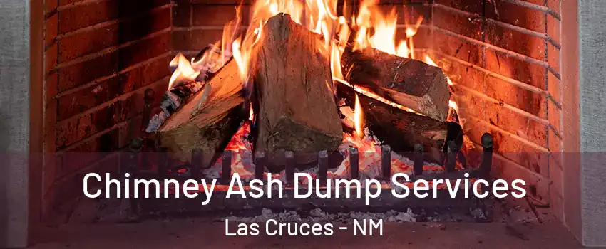  Chimney Ash Dump Services Las Cruces - NM