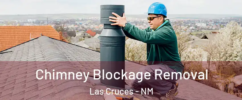  Chimney Blockage Removal Las Cruces - NM