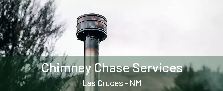  Chimney Chase Services Las Cruces - NM