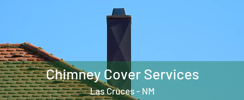  Chimney Cover Services Las Cruces - NM