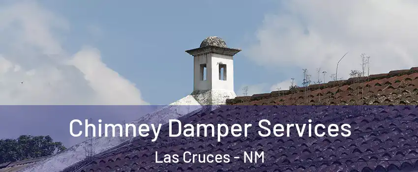  Chimney Damper Services Las Cruces - NM