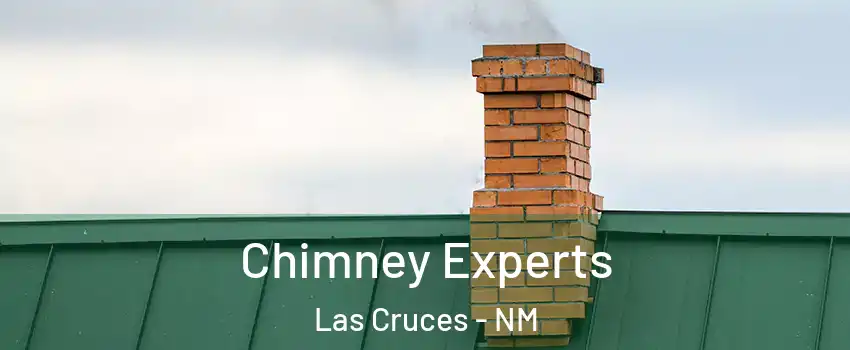  Chimney Experts Las Cruces - NM