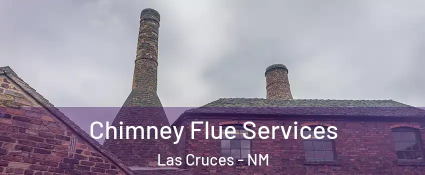  Chimney Flue Services Las Cruces - NM