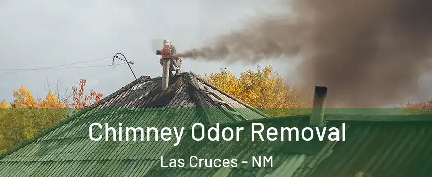  Chimney Odor Removal Las Cruces - NM