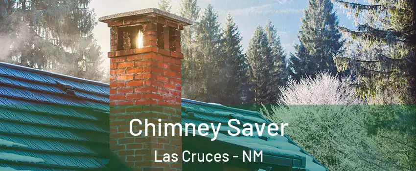  Chimney Saver Las Cruces - NM