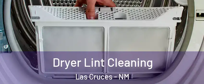  Dryer Lint Cleaning Las Cruces - NM