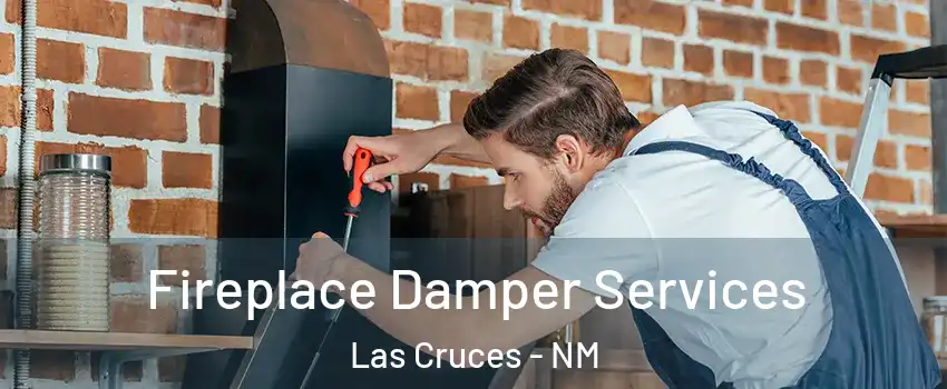  Fireplace Damper Services Las Cruces - NM
