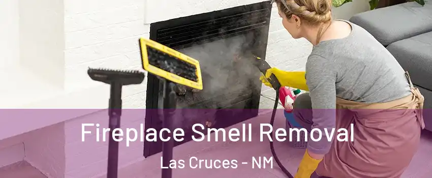  Fireplace Smell Removal Las Cruces - NM