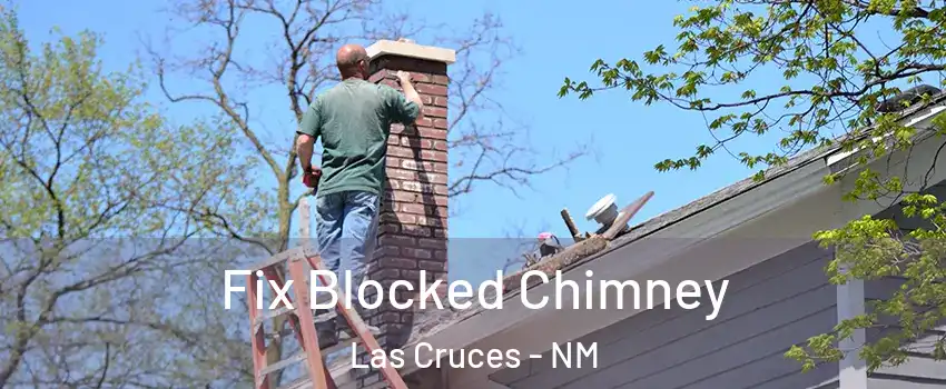  Fix Blocked Chimney Las Cruces - NM