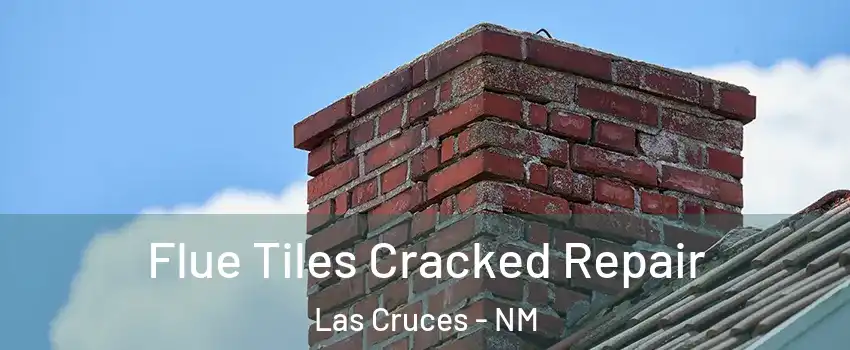  Flue Tiles Cracked Repair Las Cruces - NM
