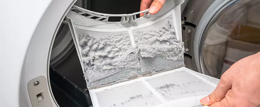 Best Dryer Lint Removal Company in Las Cruces, New Mexico