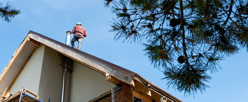 Birds Removal Contractors from Chimney in Las Cruces, NM