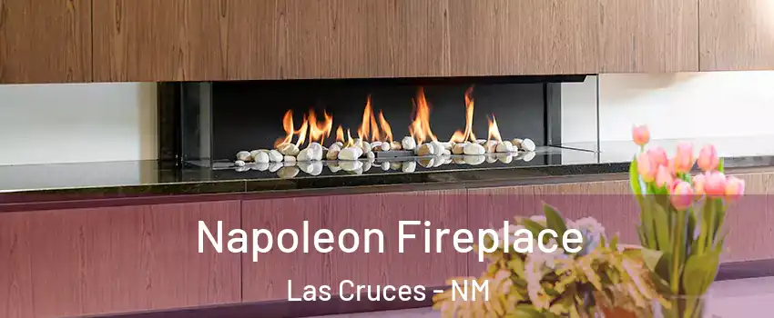  Napoleon Fireplace Las Cruces - NM