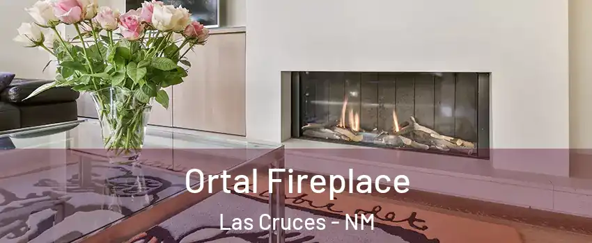  Ortal Fireplace Las Cruces - NM